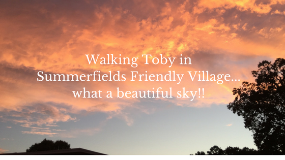 Sky in Summerfields Friendly Village