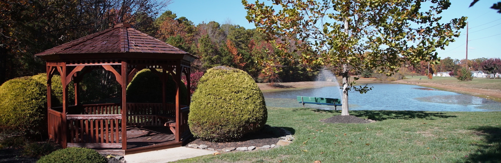 Gazebo next to pond
