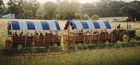 Johnson's Locust Hall Farm Hayride Right in your own backyard