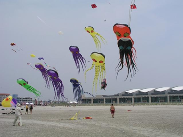 Squid Kites on the Beach