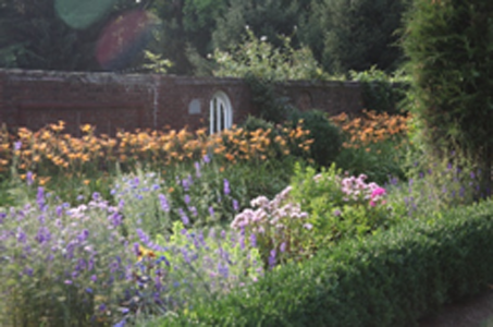 Beautiful Garden