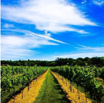 Summerfields Friendly Village New Jersey
